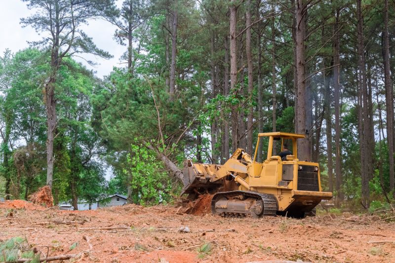Efficient Land Clearing Equipment