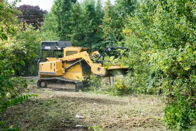 Fall Land Clearing