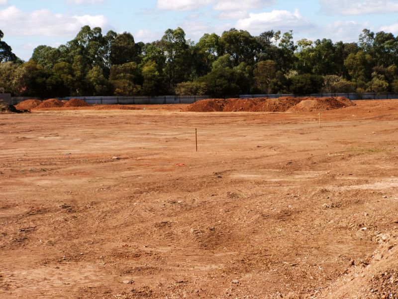 Schedule Your Land Clearing Early