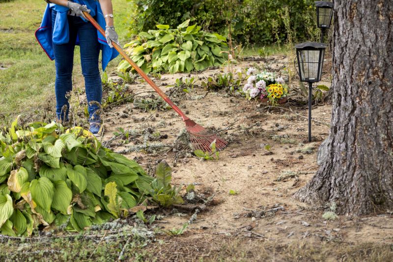 Seasonal Planning for Land Clearing
