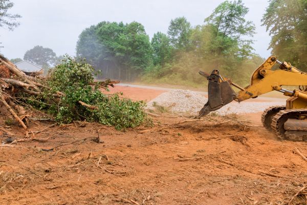 Forestry Mulching Service in Fort Walton Beach