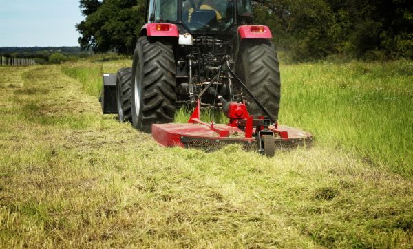 Brush Clearing Service in Fort Walton Beach