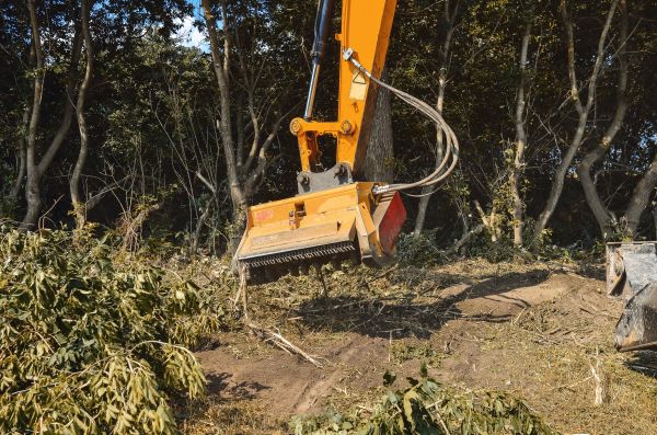 Brush Removal Service in Fort Walton Beach
