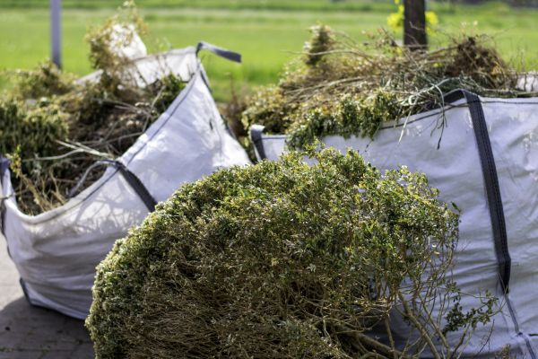 Bushes Clearing in Fort Walton Beach