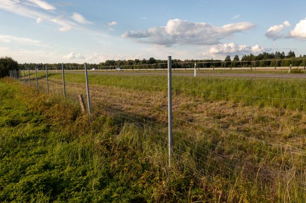 Property Line Clearing in Fort Walton Beach